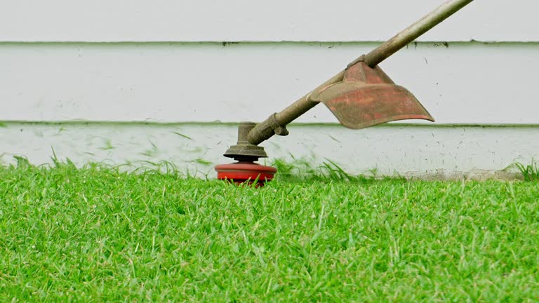 Best Leaf Removal  in North Corbin, KY